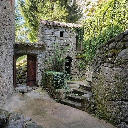 הוילה Saint-André-de-Majencoules Gite Pommier Au Chateau Des Pauses מראה חיצוני תמונה